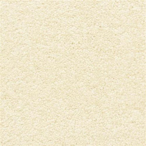 Close-up of Morgan Bay Family Friendly Carpet in Seed—a cream-colored, textured surface with a soft, slightly bumpy look. Stain resistant and ideal for high-traffic, family spaces.