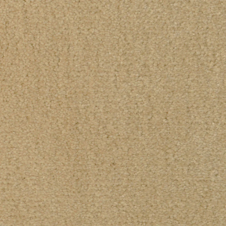 Close-up of Seduction On Trend Carpet in Sensational Sand. Its dense, uniform fibers deliver a soft, plush texture and durable flooring, making it an ideal neutral backdrop for any space.