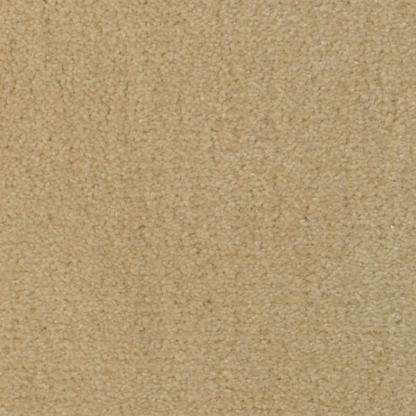 Close-up of Seduction On Trend Carpet in Sensational Sand. Its dense, uniform fibers deliver a soft, plush texture and durable flooring, making it an ideal neutral backdrop for any space.