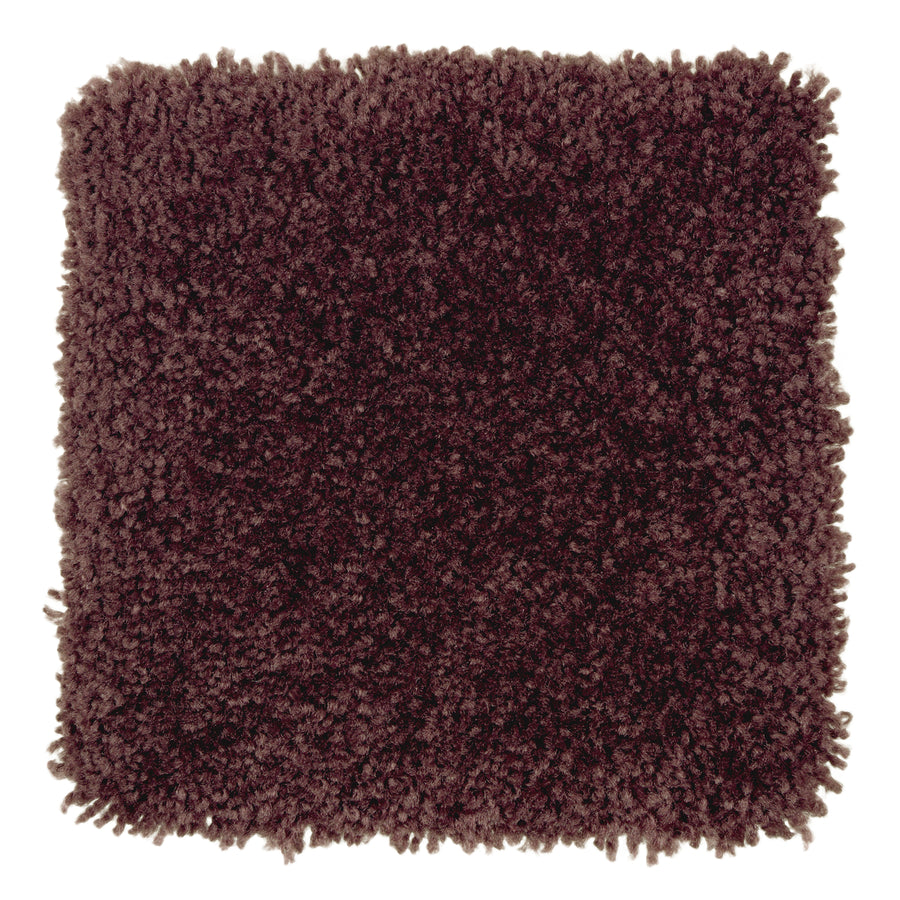 A square sample of Sensible Style III Family Friendly Carpet in Blackberry Wine displays plush, textured, thick shaggy fibers—a modern, comfortable choice—viewed from above on a white background.