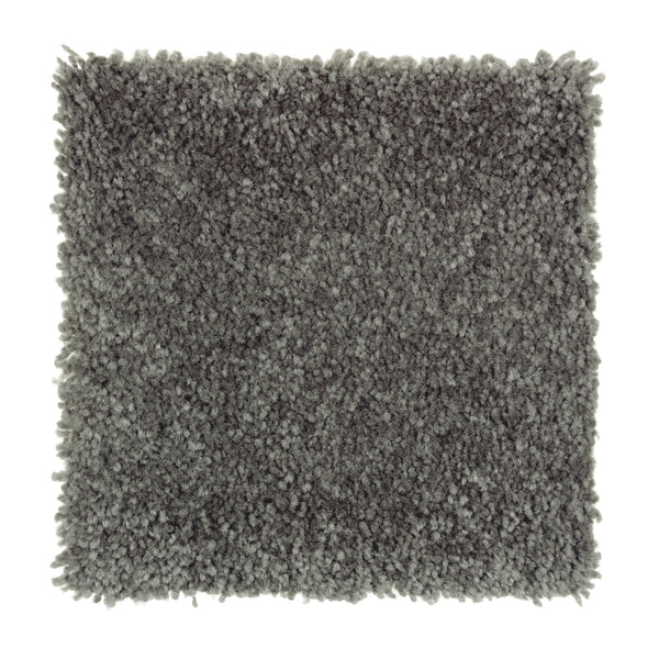 A square swatch of Sensible Style III Family Friendly Carpet in Elvin Forest, featuring plush, textured pile in dark gray—ideal for modern style and everyday comfort against a white background.