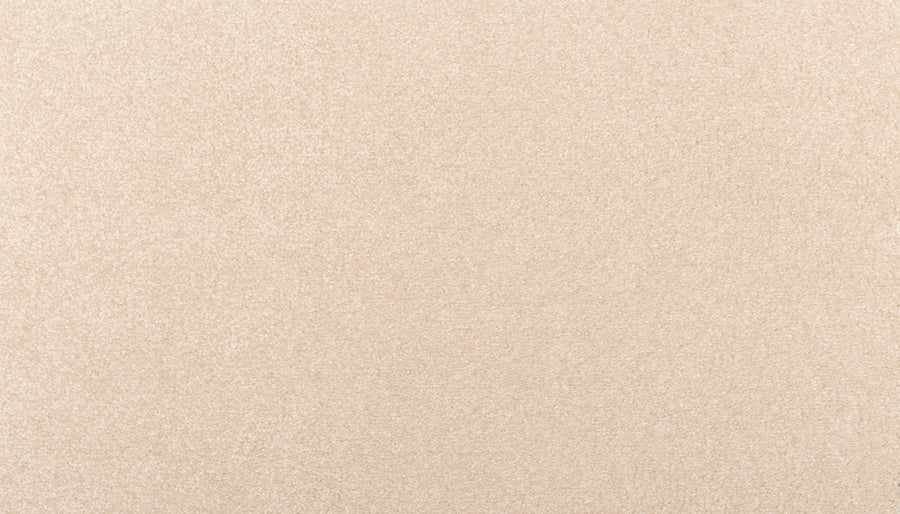 A close-up of Sensible Style III Family Friendly Carpet in Rococo Beige highlights its soft, uniform texture and modern appeal—perfect for everyday comfort in any space.
