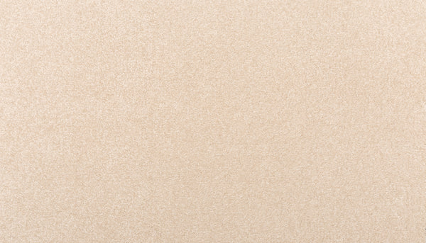 A close-up of Sensible Style III Family Friendly Carpet in Rococo Beige highlights its soft, uniform texture and modern appeal—perfect for everyday comfort in any space.