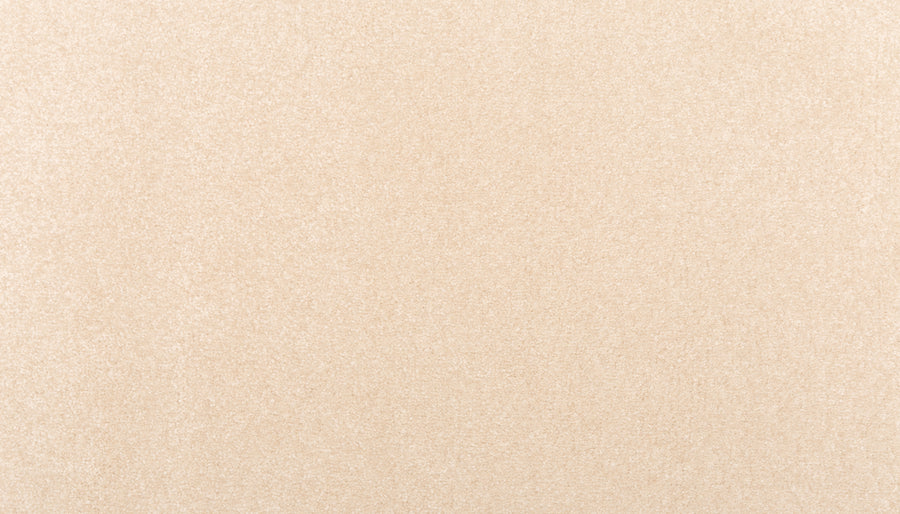 A close-up of Sensible Style III Family Friendly Carpet in Champagne Bubble—its smooth, sandy beige texture and even lighting create an ideal, versatile backdrop for contemporary design and modern taste.