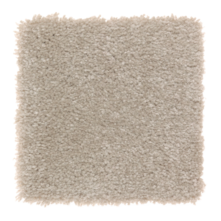 A square swatch of Sensible Style III Family Friendly Carpet in Cappuccino—light beige, plush, and densely textured—displayed on a white background. Ideal for adding everyday comfort and style to any room.