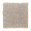 Tahoe Taupe