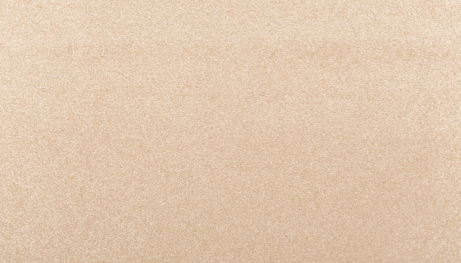 A close-up of the Sensible Style III Family Friendly Carpet in Honeywood shows its soft, uniform texture and even color, ideal for adding everyday comfort to any modern space.