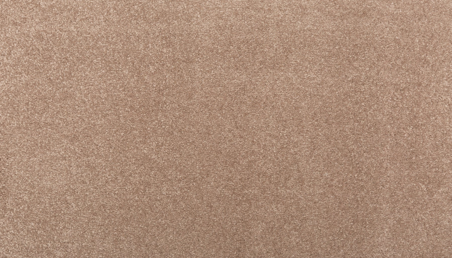 Close-up of Sensible Style III Family Friendly Carpet in Desert Mud. Its soft, dense fibers offer everyday comfort, while the uniform, textured surface and plush look add a modern touch to any space.