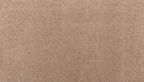 Close-up of Sensible Style III Family Friendly Carpet in Desert Mud. Its soft, dense fibers offer everyday comfort, while the uniform, textured surface and plush look add a modern touch to any space.
