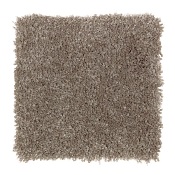 A square sample of Sensible Style III Family Friendly Carpet in Coco Mocha, featuring a soft, plush texture and light brown hue—ideal for adding comfort to contemporary spaces.
