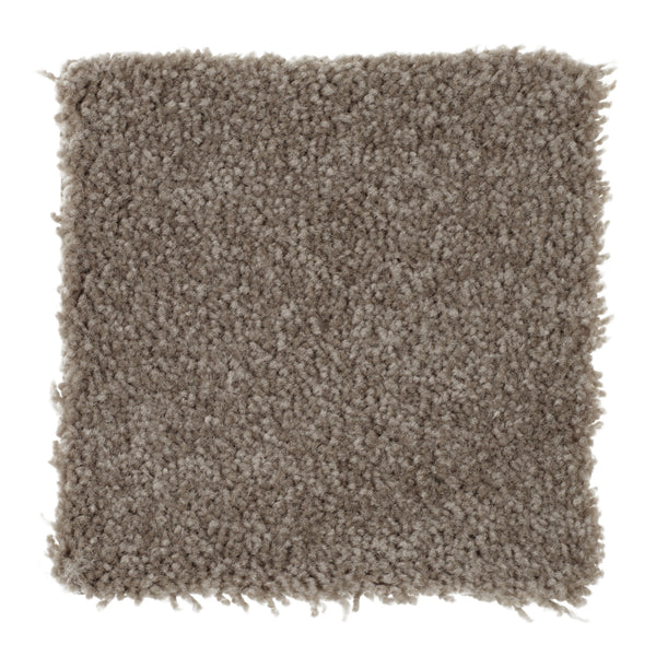 A square sample of Sensible Style III Family Friendly Carpet in Pecan Bark, featuring a light brown, textured, plush, and slightly shaggy look for modern comfort, shown from above on a white background.