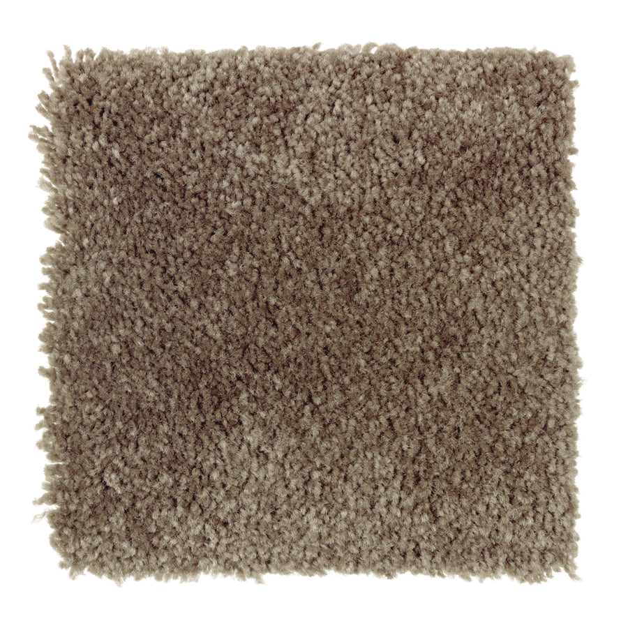 The Sensible Style III Family Friendly Carpet in Rustic Beam features a plush, dense texture and slightly uneven edges, offering everyday comfort and a contemporary vibe, as shown by the rectangular swatch on a white background.