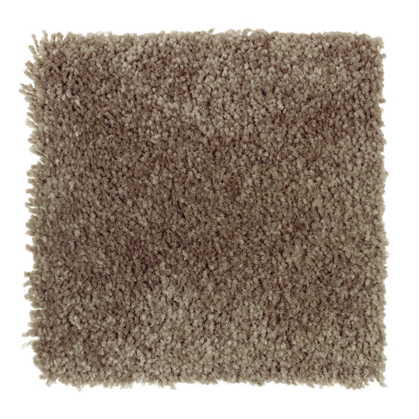 The Sensible Style III Family Friendly Carpet in Rustic Beam features a plush, dense texture and slightly uneven edges, offering everyday comfort and a contemporary vibe, as shown by the rectangular swatch on a white background.