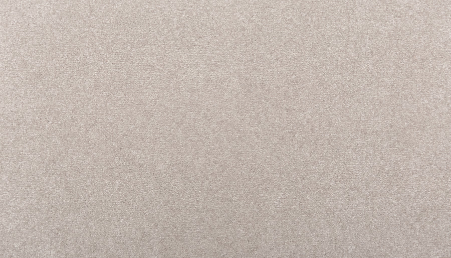 Close-up of Sensible Style III Family Friendly Carpet in Polished Nickel, featuring a soft, textured surface with a uniform, speckled pattern for everyday comfort that complements modern decor.