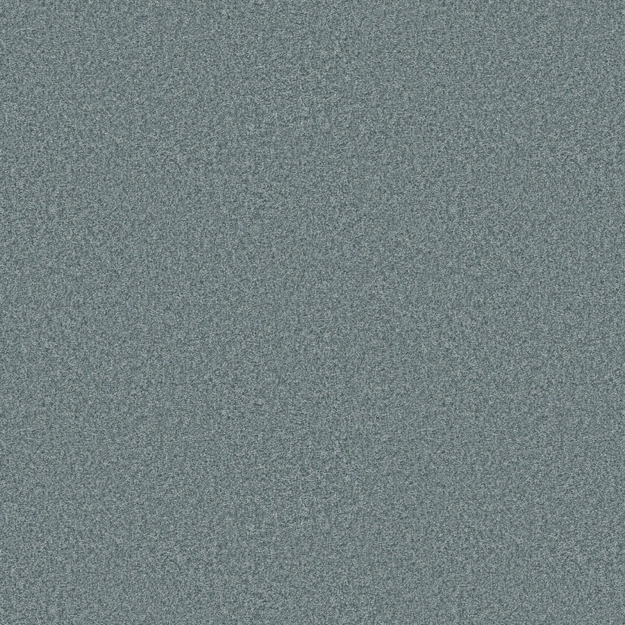 Serene color of You Got This III Pet Friendly Carpet features a blue and gray static pattern with a densely speckled, grainy look—offering modern, durable flooring that's stylish and perfect for pet-friendly homes.