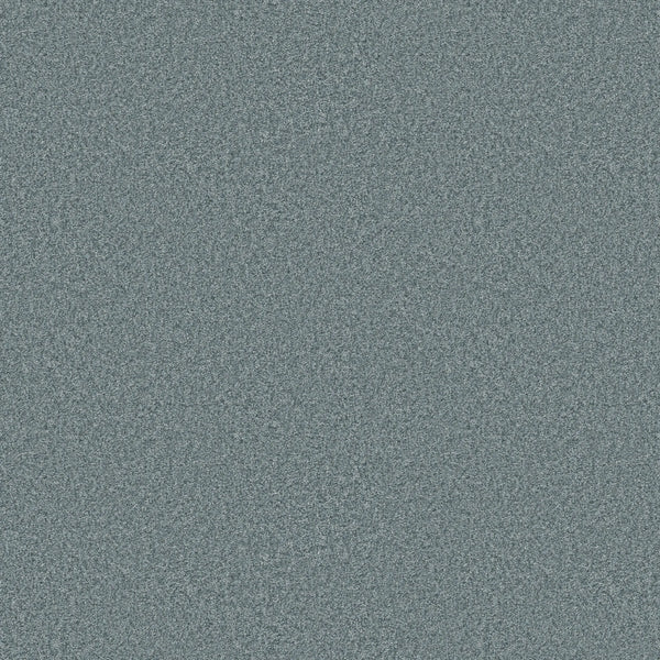 Serene color of You Got This III Pet Friendly Carpet features a blue and gray static pattern with a densely speckled, grainy look—offering modern, durable flooring that's stylish and perfect for pet-friendly homes.