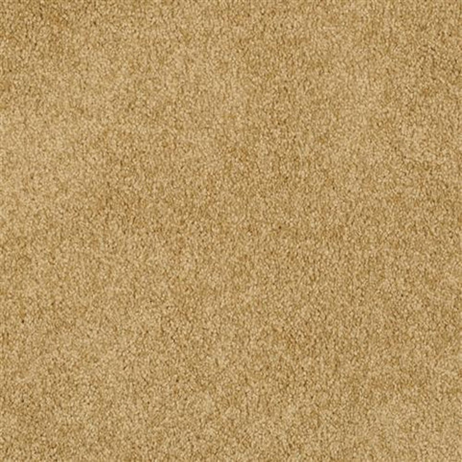 Oceanside Family Friendly Carpet in Seville features a soft, plush texture and a uniform, slightly speckled look—ideal for any home seeking comfort and style.