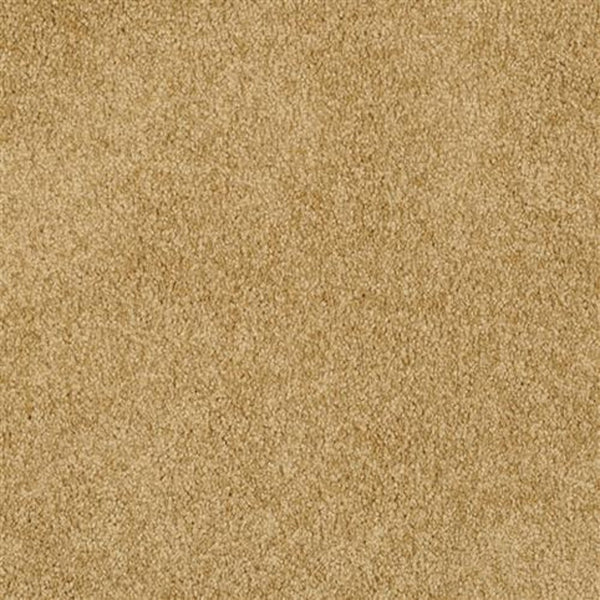 Oceanside Family Friendly Carpet in Seville features a soft, plush texture and a uniform, slightly speckled look—ideal for any home seeking comfort and style.