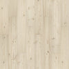 Shale Pine
