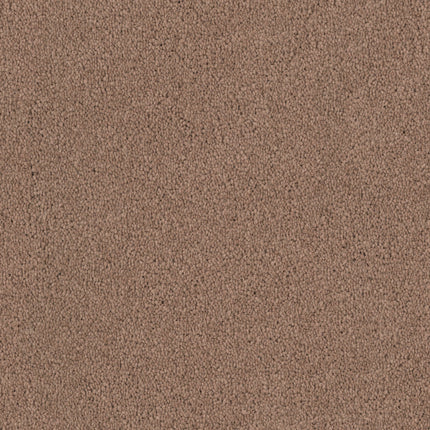 Close-up of Tribute Family Friendly Carpet in Shandur—a light brown, stain-resistant carpet with plush, densely packed fibers for a soft, cozy look. Its uniform texture makes it ideal for any family-friendly space.