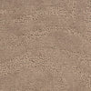 Shark Skin