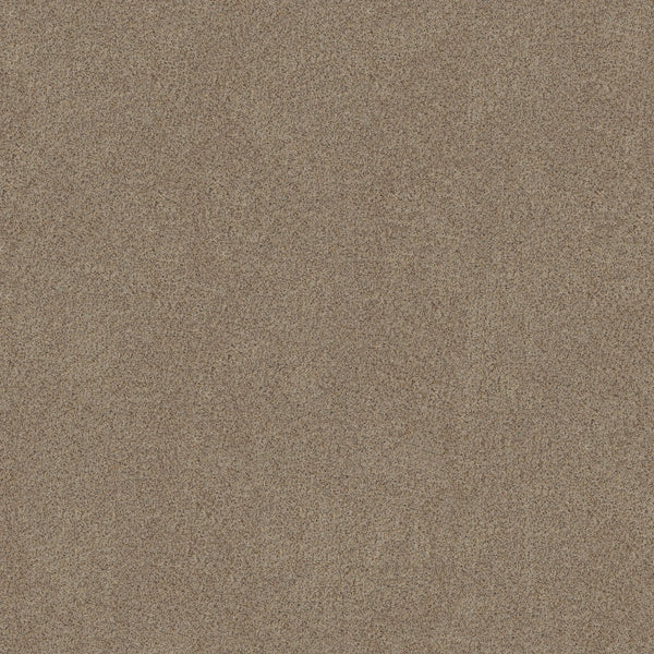 A close-up of the Canyon Lake Family Friendly Carpet in Sheffield shows fine, evenly distributed light brown fibers, creating a textured and uniform surface ideal for contemporary flooring.