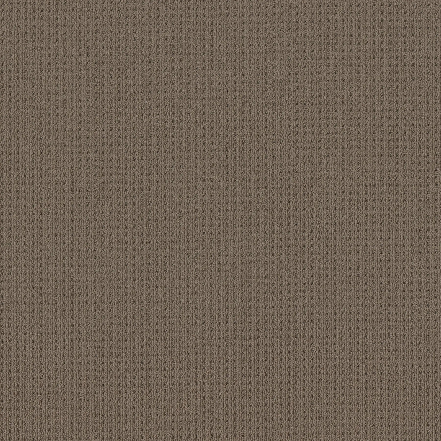 Close-up of San Lucas Family Friendly Carpet in Shingle color, featuring soft, textured brown fabric with evenly spaced vertical ribbing—ideal for high-traffic, family-friendly homes.