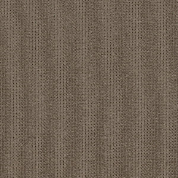 Close-up of San Lucas Family Friendly Carpet in Shingle color, featuring soft, textured brown fabric with evenly spaced vertical ribbing—ideal for high-traffic, family-friendly homes.