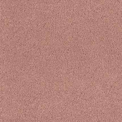 Close-up of Tribute Family Friendly Carpet in Siena—a textured, slightly rough surface in a dusty pink tone, combining softness and durability for any family space.