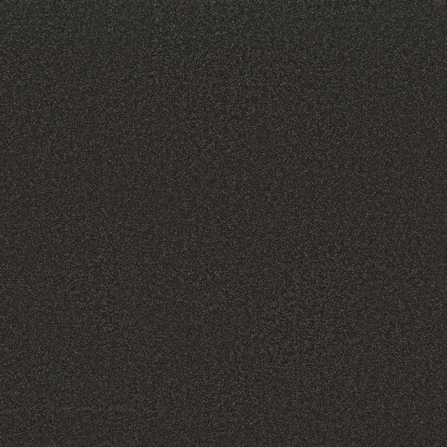 A close-up of Awaken Spirit Pet Friendly Carpet in Silhouette shows a dark, grainy texture—resembling black sandpaper or finely speckled stone—ideal for modern spaces where style and durability are key.