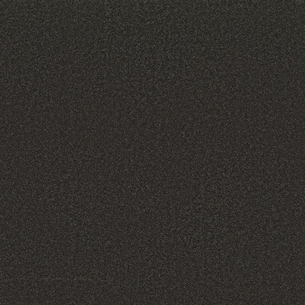 A close-up of Awaken Spirit Pet Friendly Carpet in Silhouette shows a dark, grainy texture—resembling black sandpaper or finely speckled stone—ideal for modern spaces where style and durability are key.