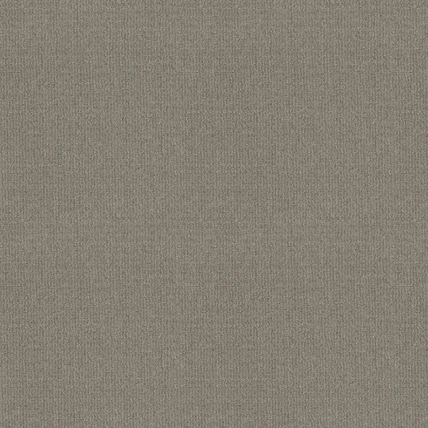 Sierra Vista in Silhouette features a textured surface with an intricate pattern of fine dots and lines, resembling woven fabric—ideal for contemporary flooring that’s both stylish and comfortable underfoot.