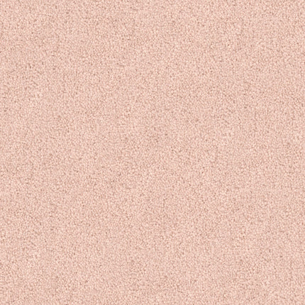 A close-up of Tribute Family Friendly Carpet in Silkweave shows its soft, plush texture and light beige tone—perfect for a durable, inviting space the whole family can enjoy.