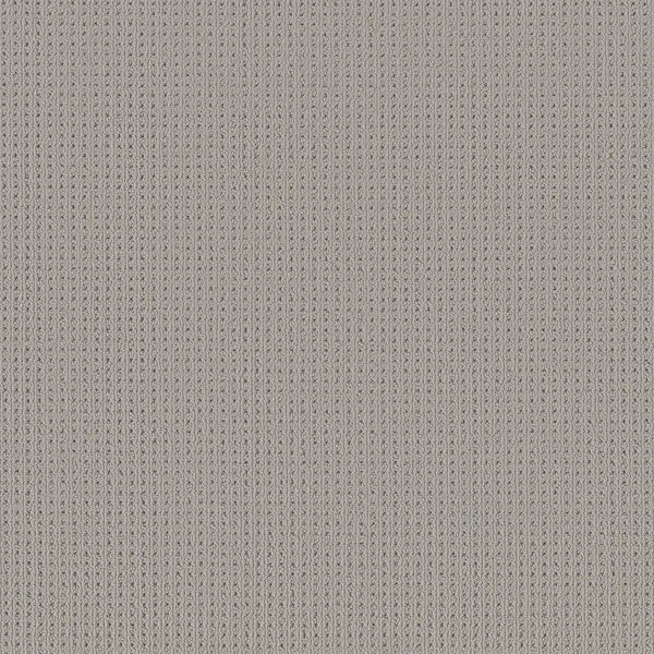Close-up of San Lucas Family Friendly Carpet in Silverplate color shows a uniform, light gray ribbed knit texture with fine vertical lines—perfect for high-traffic, family-friendly homes.