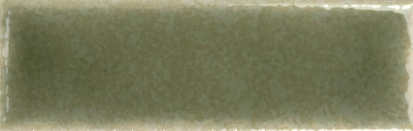 The Skin 1.6