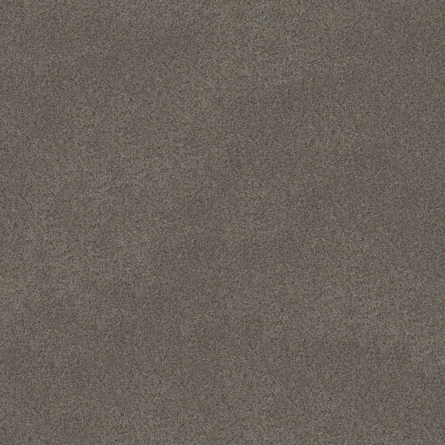 Canyon Lake Family Friendly Carpet in Slate features a densely speckled, grainy texture with brown, gray, and black dots, creating a static-like pattern—perfect for contemporary flooring with uniform coverage.