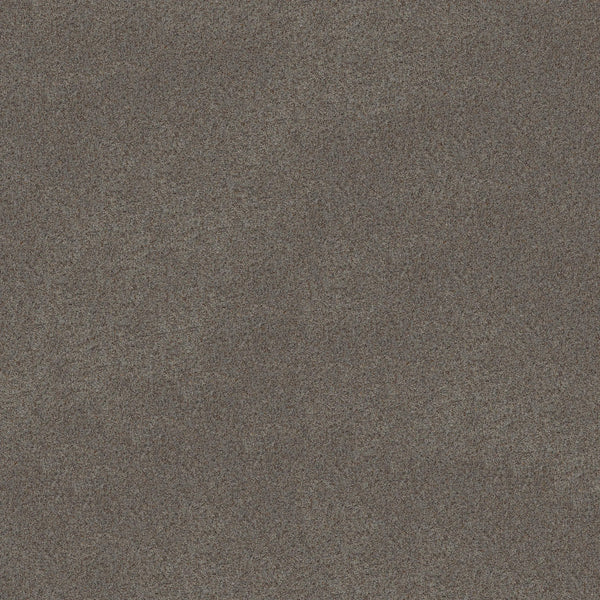 Canyon Lake Family Friendly Carpet in Slate features a densely speckled, grainy texture with brown, gray, and black dots, creating a static-like pattern—perfect for contemporary flooring with uniform coverage.