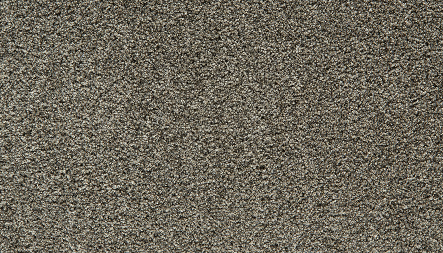 Close-up of a textured, slate-colored Cozy Companion Pet Friendly Carpet with a soft, plush surface. The densely packed fibers create a uniform and cozy appearance, perfect for adding comfort to any space. No other objects or patterns are visible in the image.