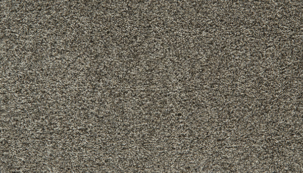 Close-up of a textured, slate-colored Cozy Companion Pet Friendly Carpet with a soft, plush surface. The densely packed fibers create a uniform and cozy appearance, perfect for adding comfort to any space. No other objects or patterns are visible in the image.
