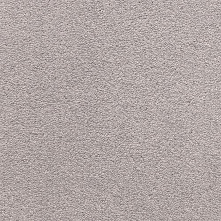 Close-up of Grand Isle Family Friendly Carpet in Sleigh, featuring a light grey shade and soft, uniform surface with fine, durable fibers.