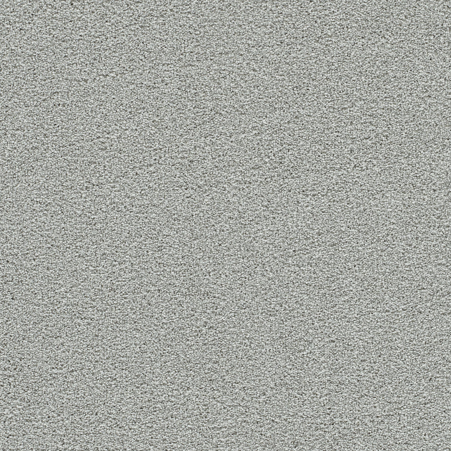 A close-up view of the Spectrum II Pet Friendly Carpet in the color Slumber, featuring a consistent, finely textured surface reminiscent of tightly woven fibers and offering a durable, stain-resistant finish throughout.