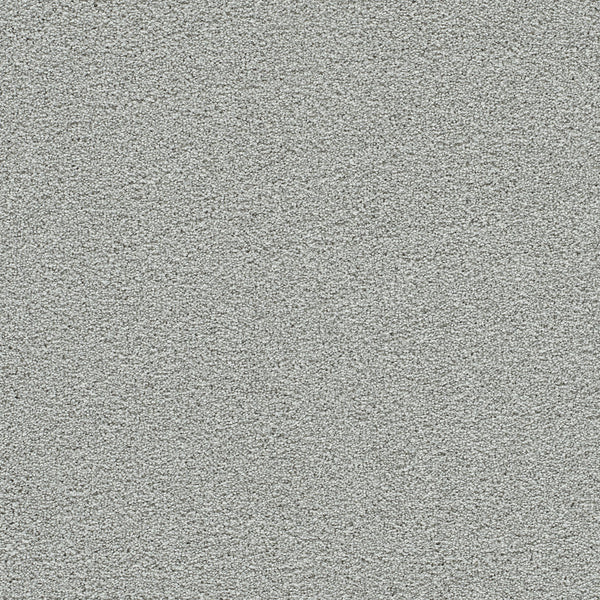 A close-up view of the Spectrum II Pet Friendly Carpet in the color Slumber, featuring a consistent, finely textured surface reminiscent of tightly woven fibers and offering a durable, stain-resistant finish throughout.