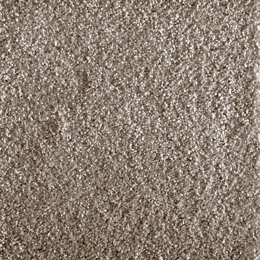 Close-up view of Jazzy Family Friendly Carpet in Smoke color, featuring a textured, densely woven surface with detailed fibers for a soft, uniform look—ideal flooring for high-traffic areas.
