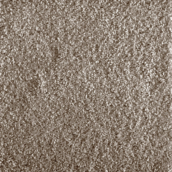 Close-up view of Jazzy Family Friendly Carpet in Smoke color, featuring a textured, densely woven surface with detailed fibers for a soft, uniform look—ideal flooring for high-traffic areas.