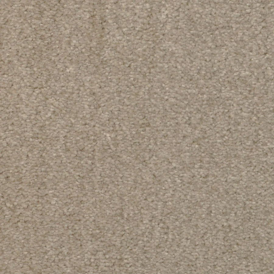 Close-up view of Seduction On Trend Carpet in Smoke Wood color, featuring a soft, textured surface and uniform looped pile for stylish and durable flooring.
