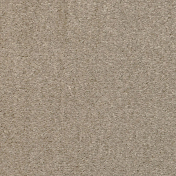 Close-up view of Seduction On Trend Carpet in Smoke Wood color, featuring a soft, textured surface and uniform looped pile for stylish and durable flooring.
