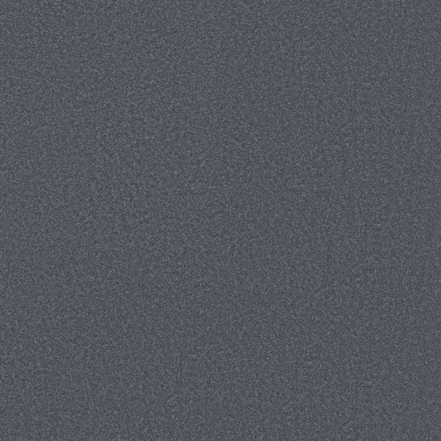 A close-up of Smooth Tone Pet Friendly Carpet in Washed Denim shows its textured, fine grain surface, blending style and durability for pet-friendly homes.