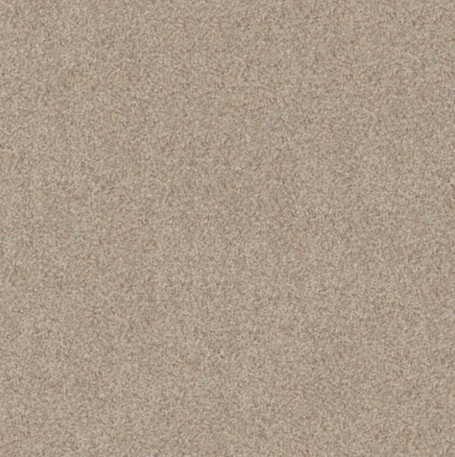 Close-up view of Canyon Lake Family Friendly Carpet in Snowfall, featuring a uniform, fine-grained surface with a sandy beige color and subtle texture, ideal for contemporary and durable flooring.