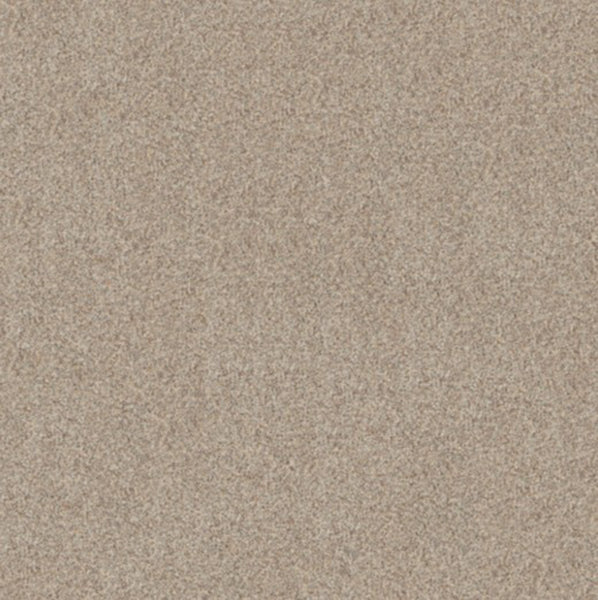 Close-up view of Canyon Lake Family Friendly Carpet in Snowfall, featuring a uniform, fine-grained surface with a sandy beige color and subtle texture, ideal for contemporary and durable flooring.