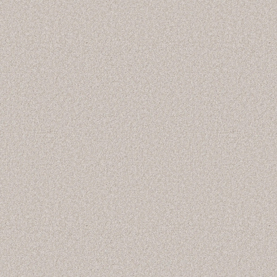A close-up of You Got This III Pet Friendly Carpet in Snowfall shows its fine, light beige texture, evenly spread for a modern look and uniform, slightly grainy finish—ideal for comfortable, stylish flooring.